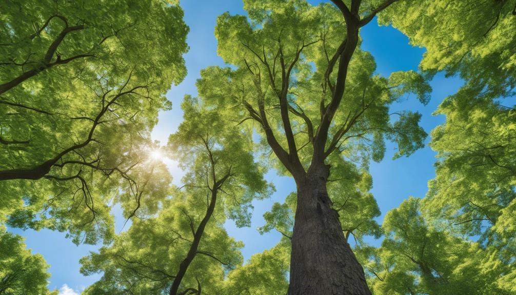 What Are Arborist Services for Tree Safety? 6 tree safety professional services