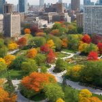 Top Tree Care Services for Urban Spaces 4 urban tree care experts