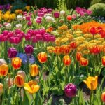 10 Best Seasonal Garden Tips for Year-Round Blooms 4 year round blooming garden tips